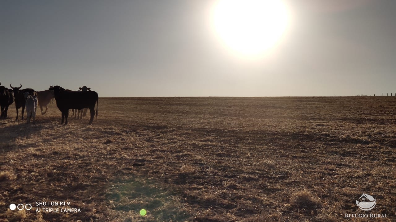 Fazenda à venda com 4 quartos, 7000000m² - Foto 27