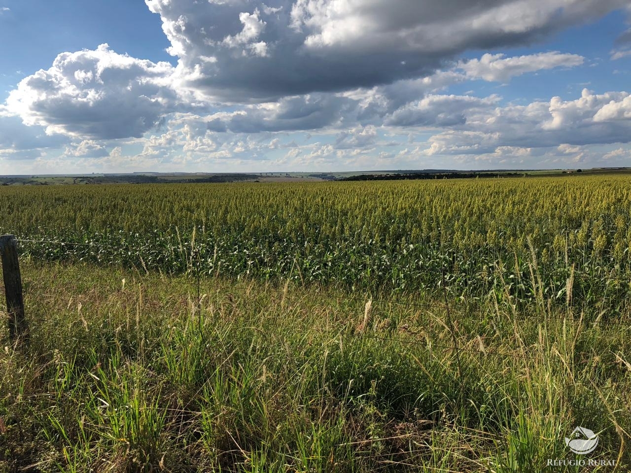 Fazenda à venda com 4 quartos, 7000000m² - Foto 11