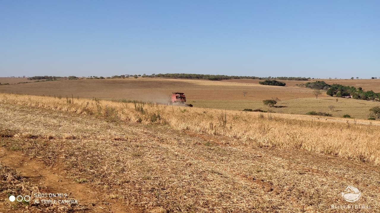 Fazenda à venda com 4 quartos, 7000000m² - Foto 36