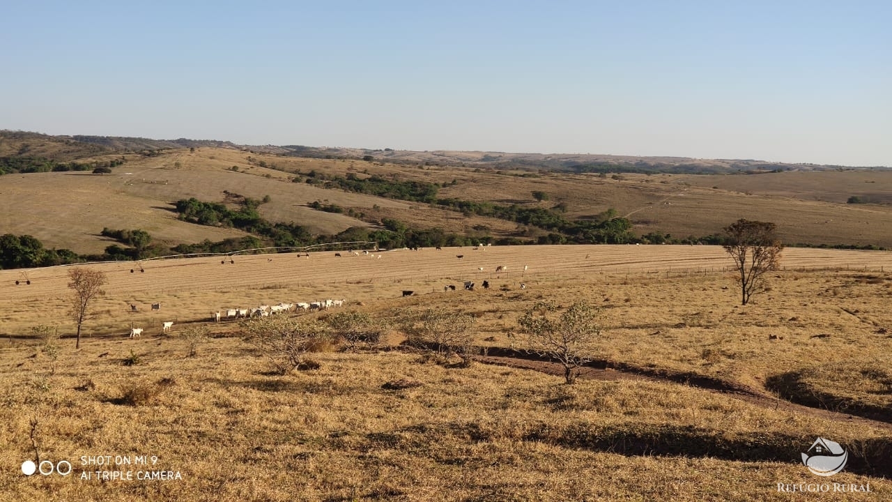 Fazenda à venda com 4 quartos, 7000000m² - Foto 33