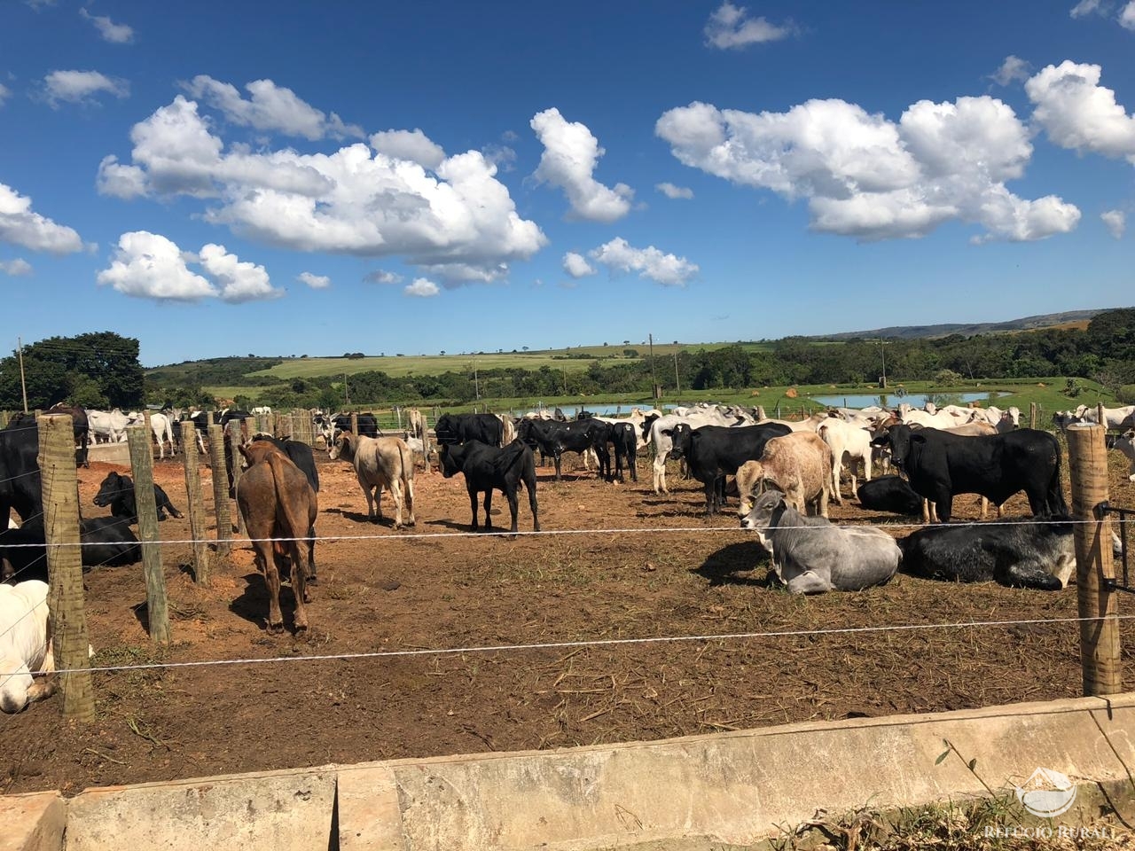 Fazenda à venda com 4 quartos, 7000000m² - Foto 6