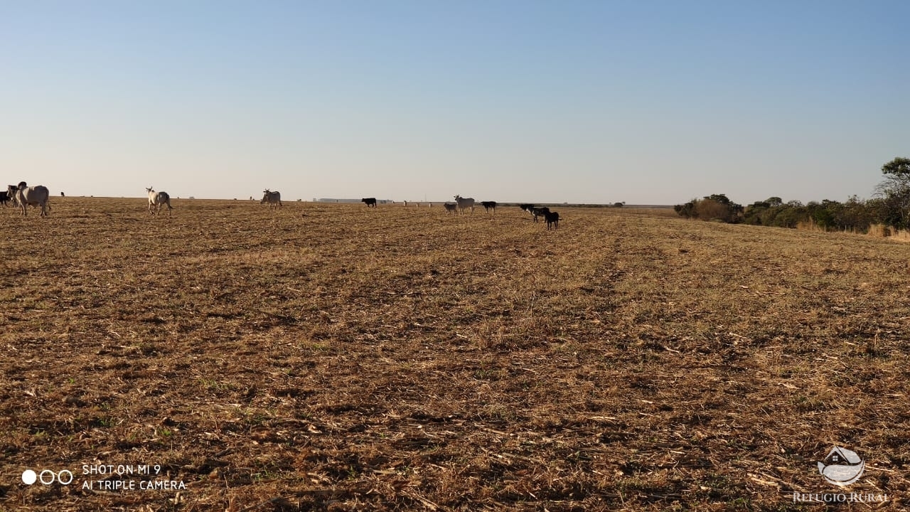 Fazenda à venda com 4 quartos, 7000000m² - Foto 31