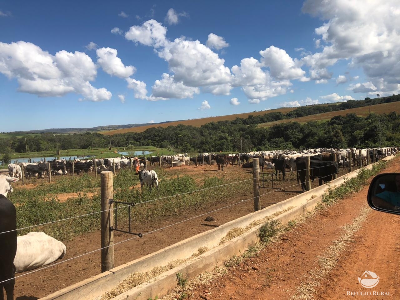 Fazenda à venda com 4 quartos, 7000000m² - Foto 14