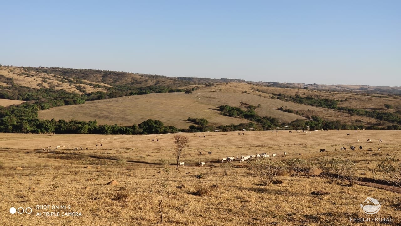 Fazenda à venda com 4 quartos, 7000000m² - Foto 34