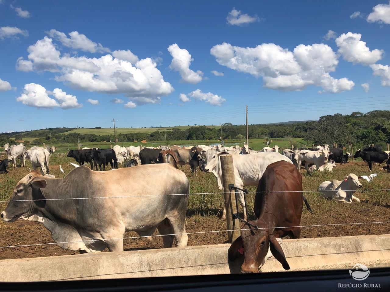 Fazenda à venda com 4 quartos, 7000000m² - Foto 19