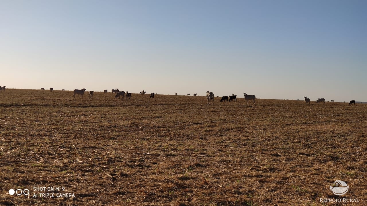 Fazenda à venda com 4 quartos, 7000000m² - Foto 29