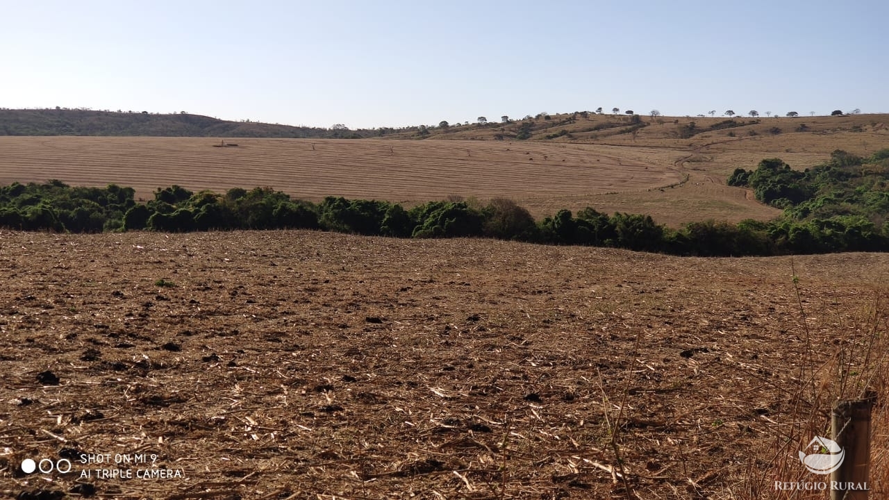 Fazenda à venda com 4 quartos, 7000000m² - Foto 49