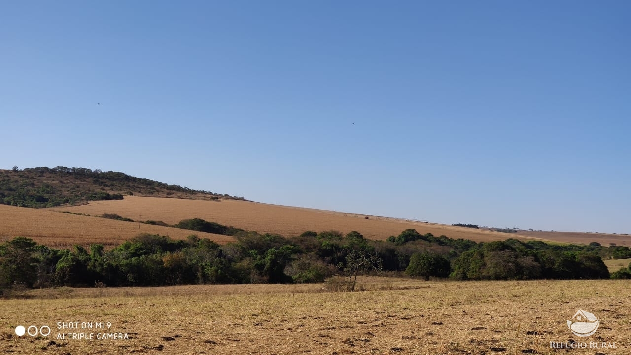 Fazenda à venda com 4 quartos, 7000000m² - Foto 48