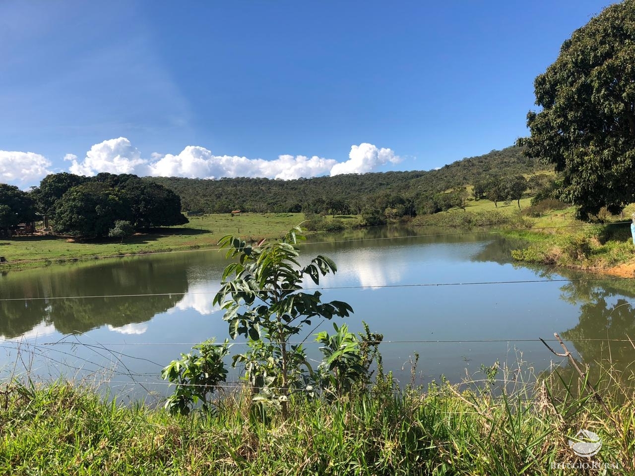 Fazenda à venda com 4 quartos, 7000000m² - Foto 2