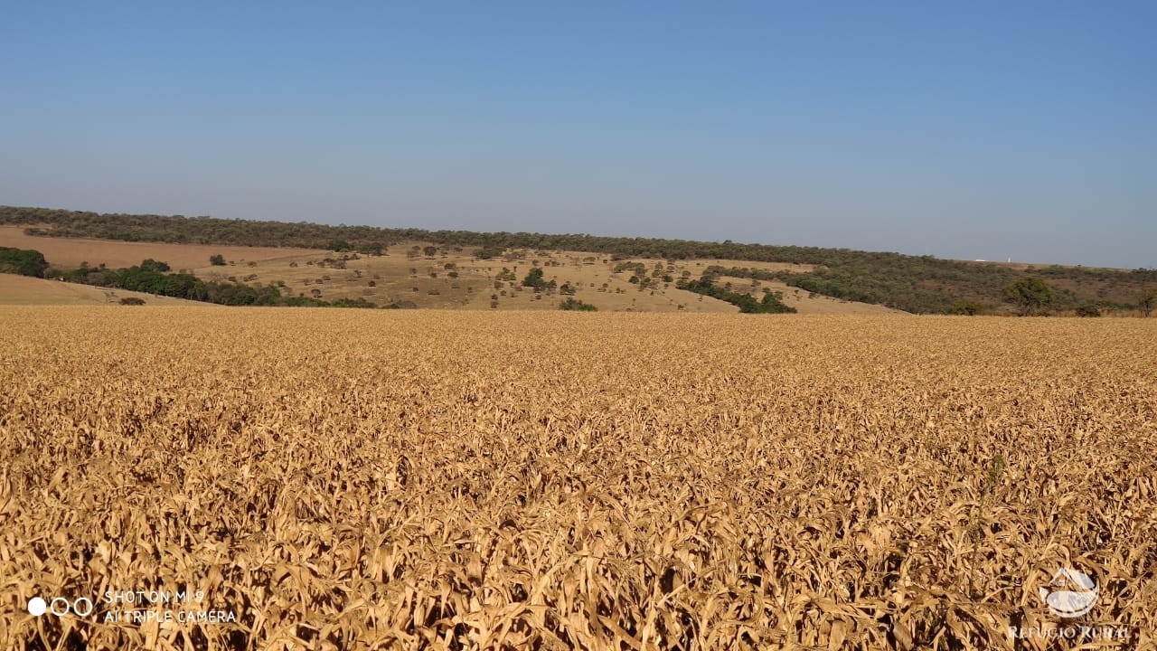 Fazenda à venda com 4 quartos, 7000000m² - Foto 35