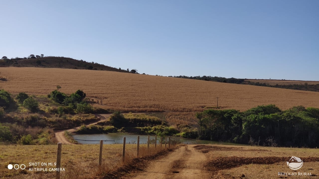 Fazenda à venda com 4 quartos, 7000000m² - Foto 46