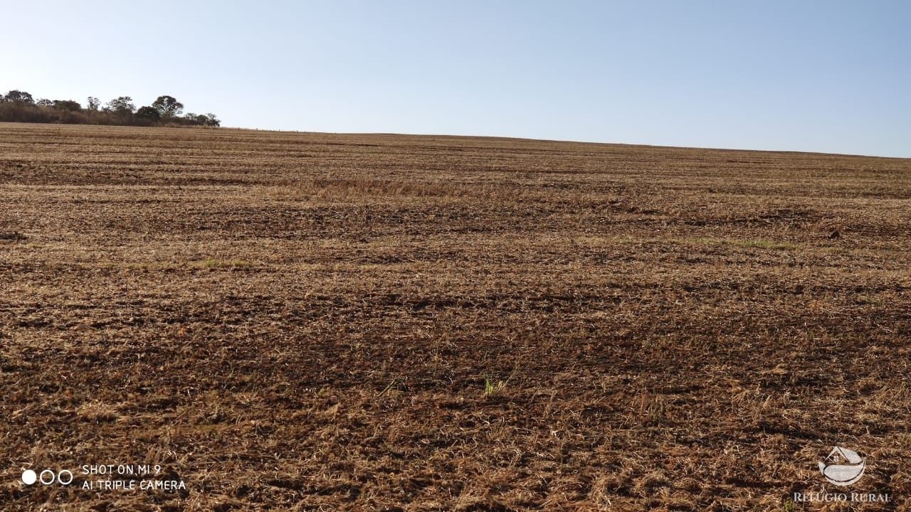 Fazenda à venda com 4 quartos, 7000000m² - Foto 38