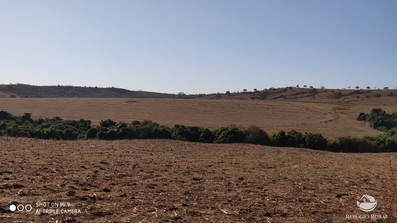 Fazenda à venda com 4 quartos, 7000000m² - Foto 50