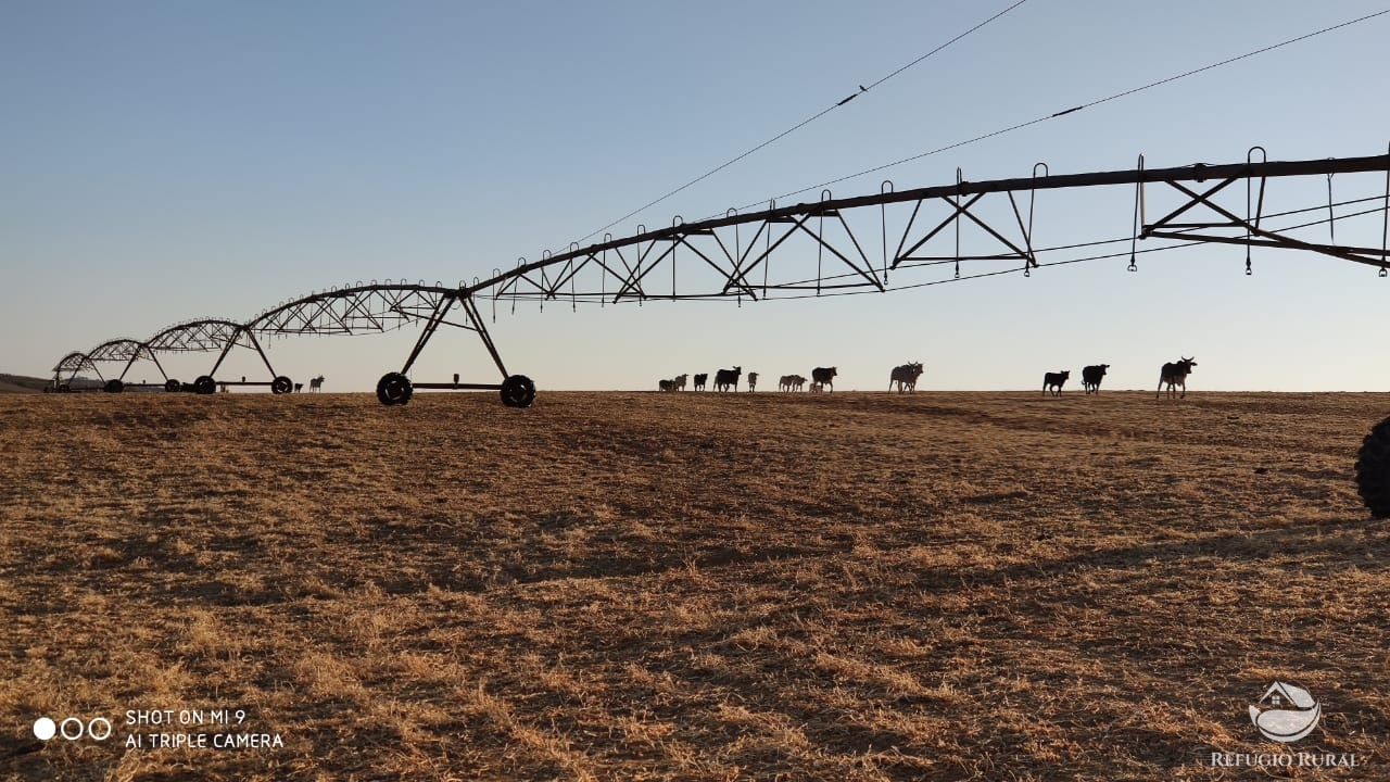 Fazenda à venda com 4 quartos, 7000000m² - Foto 1