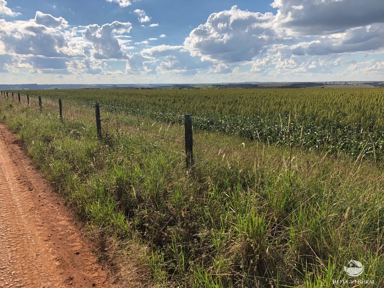 Fazenda à venda com 4 quartos, 7000000m² - Foto 9