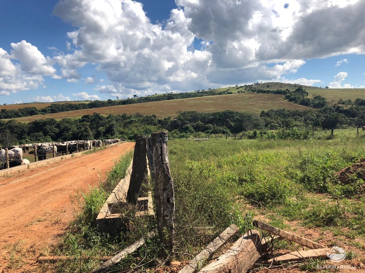 Fazenda à venda com 4 quartos, 7000000m² - Foto 15