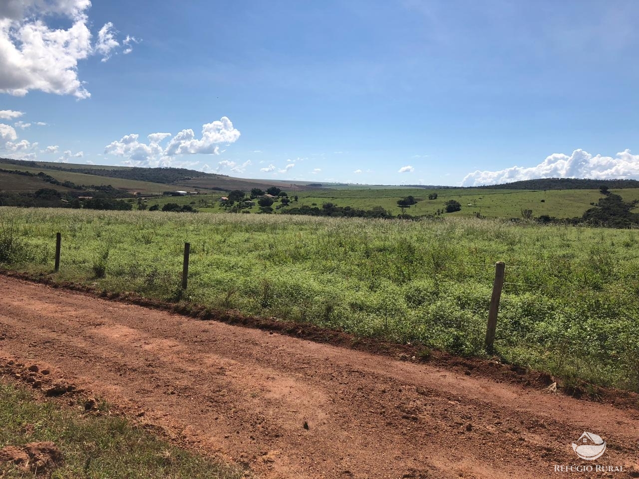 Fazenda à venda com 4 quartos, 7000000m² - Foto 7