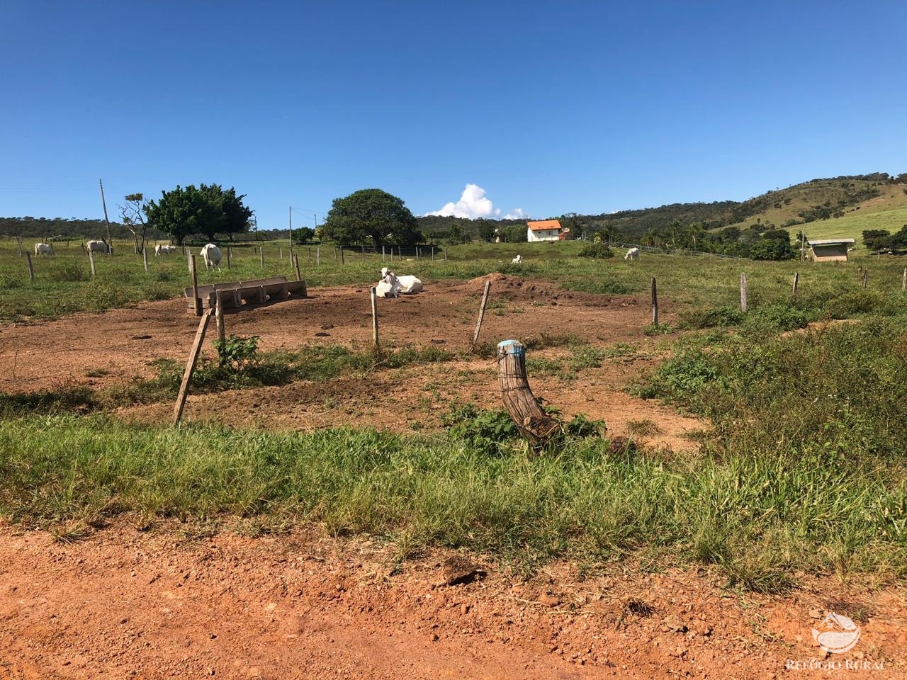 Fazenda à venda com 4 quartos, 7000000m² - Foto 10