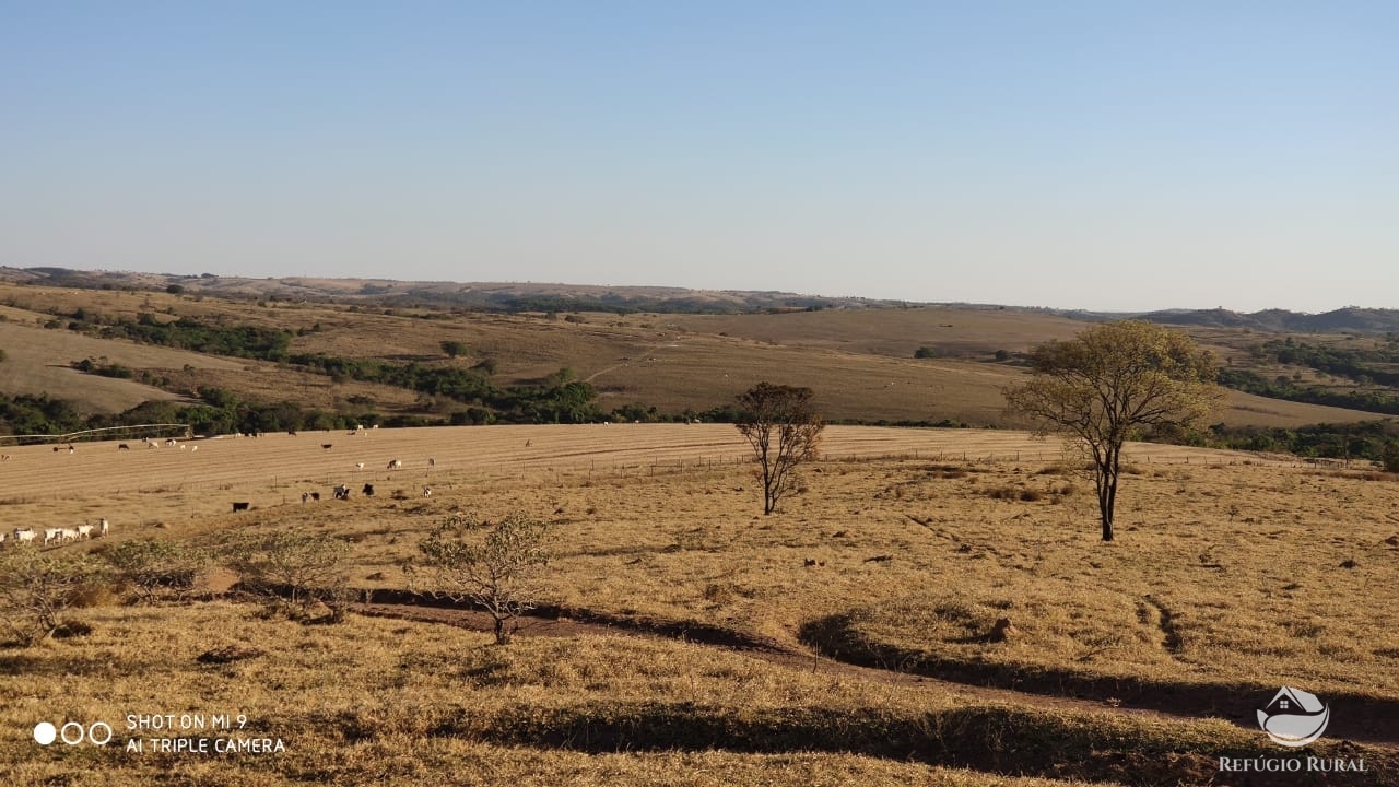 Fazenda à venda com 4 quartos, 7000000m² - Foto 32