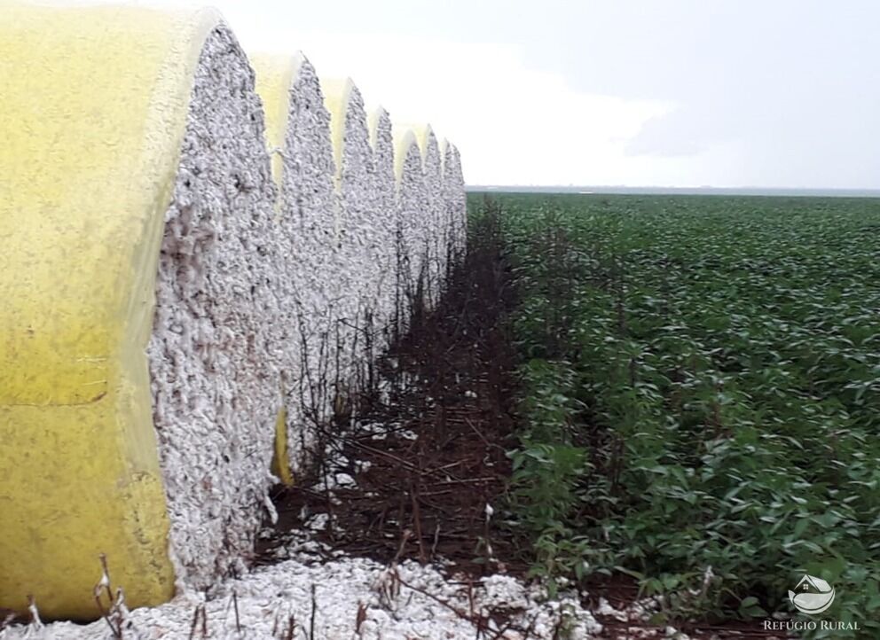 Fazenda à venda com 6 quartos, 245500000m² - Foto 15