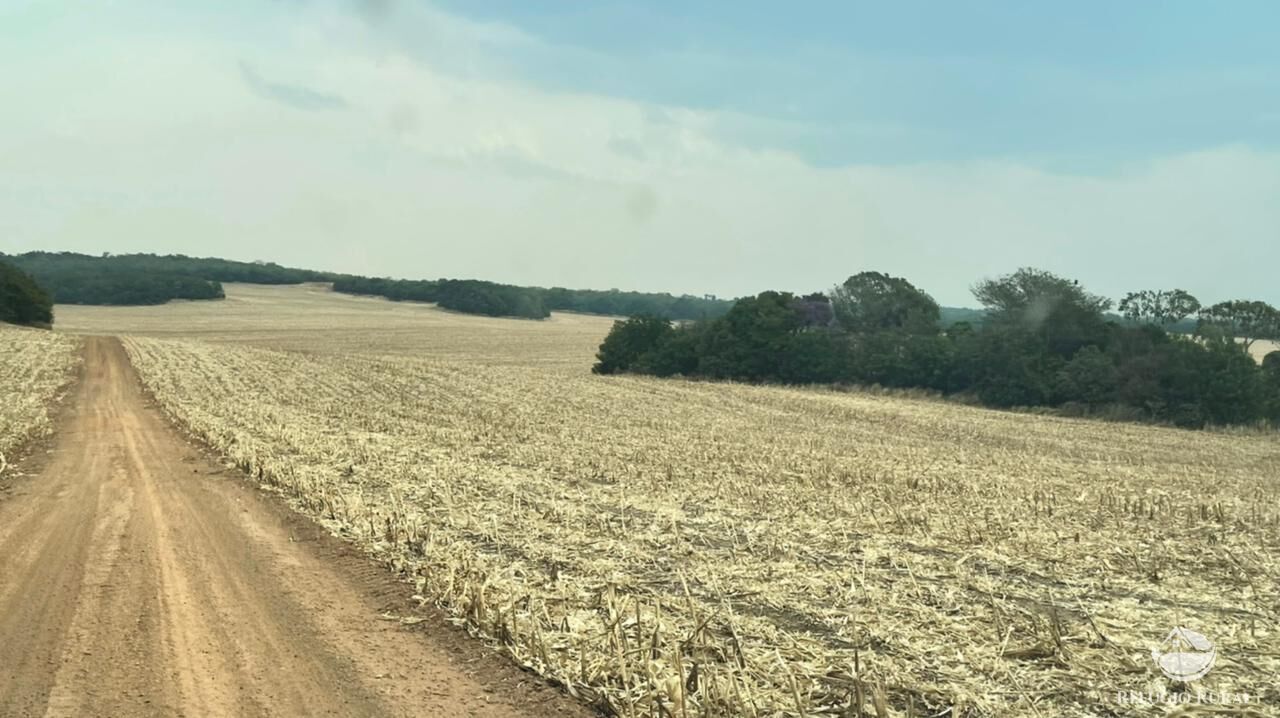 Fazenda à venda com 6 quartos, 245500000m² - Foto 20