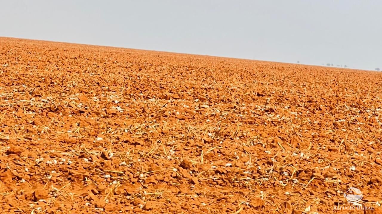 Fazenda à venda com 6 quartos, 245500000m² - Foto 17