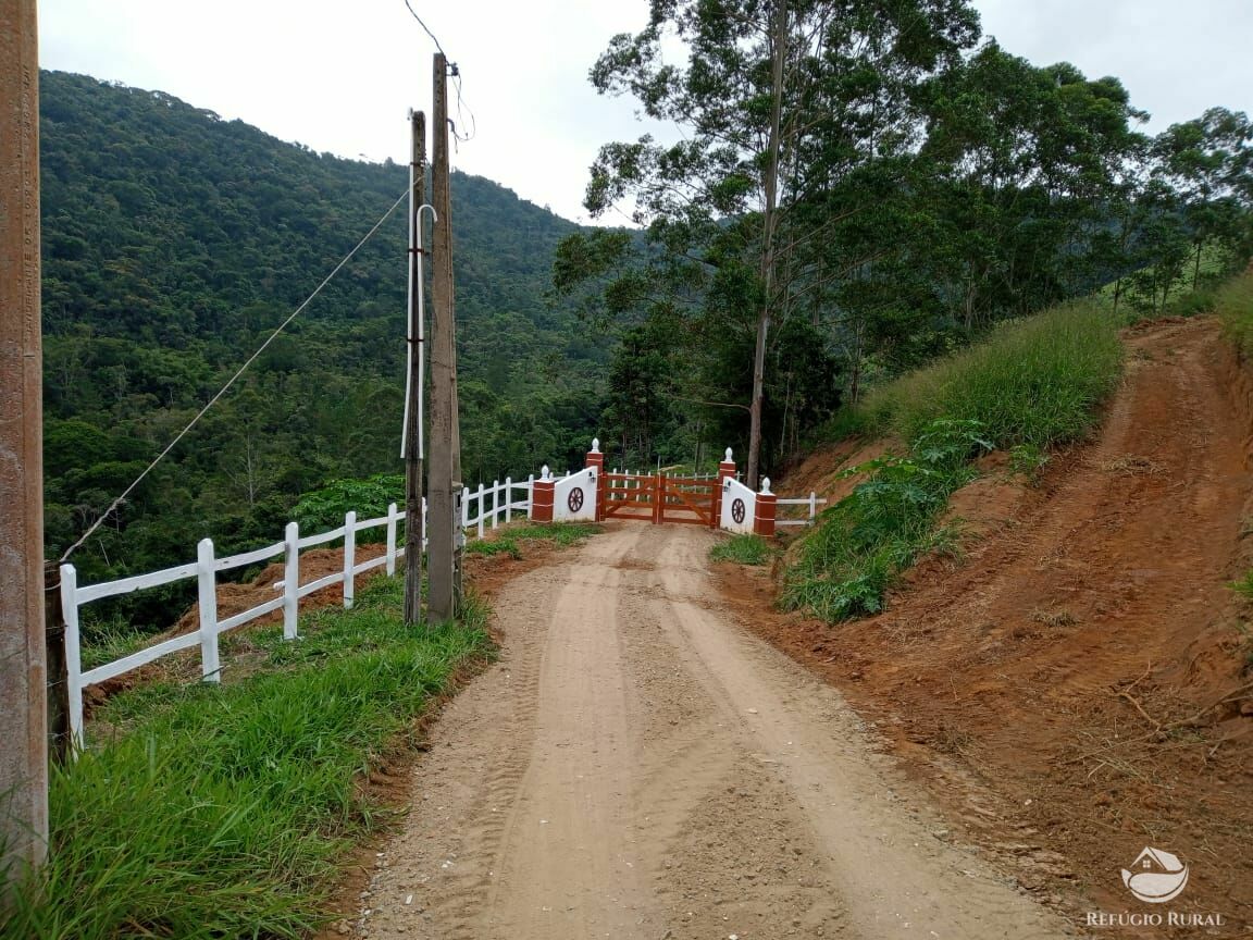 Fazenda à venda com 1 quarto, 726000m² - Foto 9