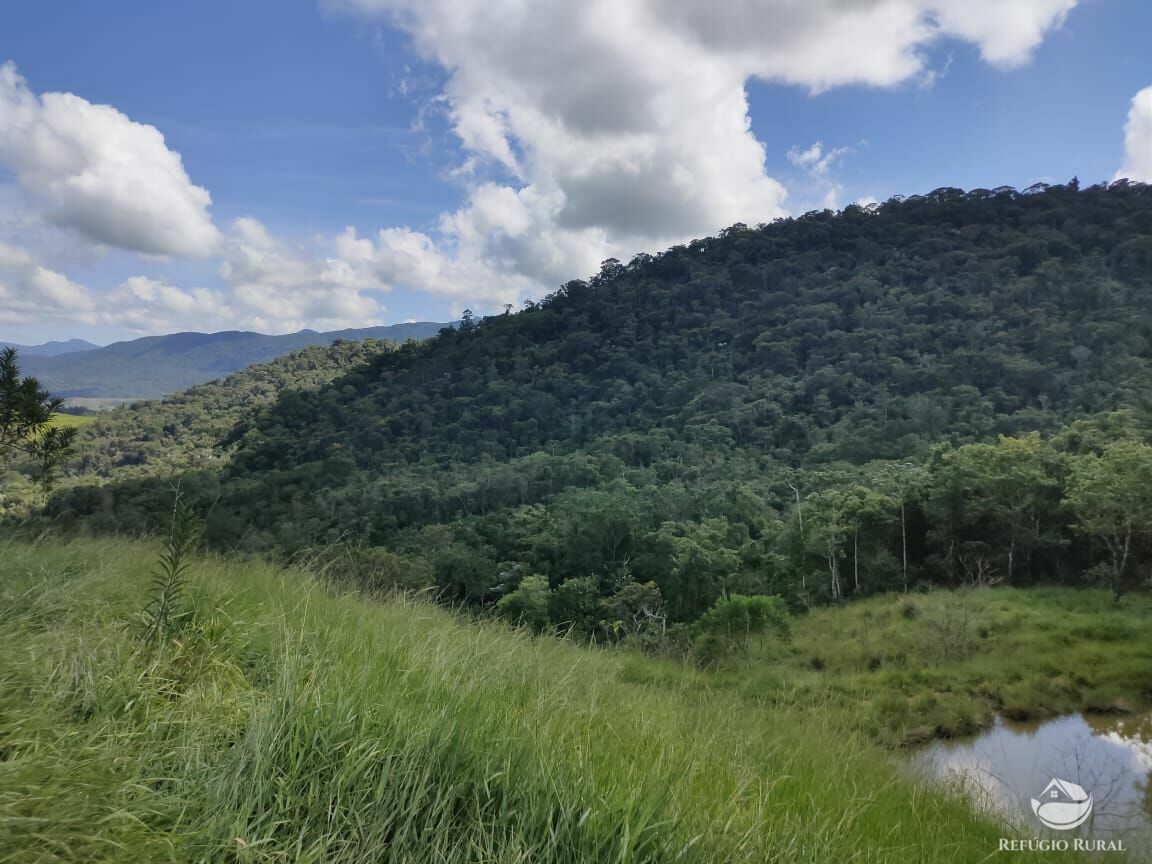 Fazenda à venda com 1 quarto, 726000m² - Foto 19