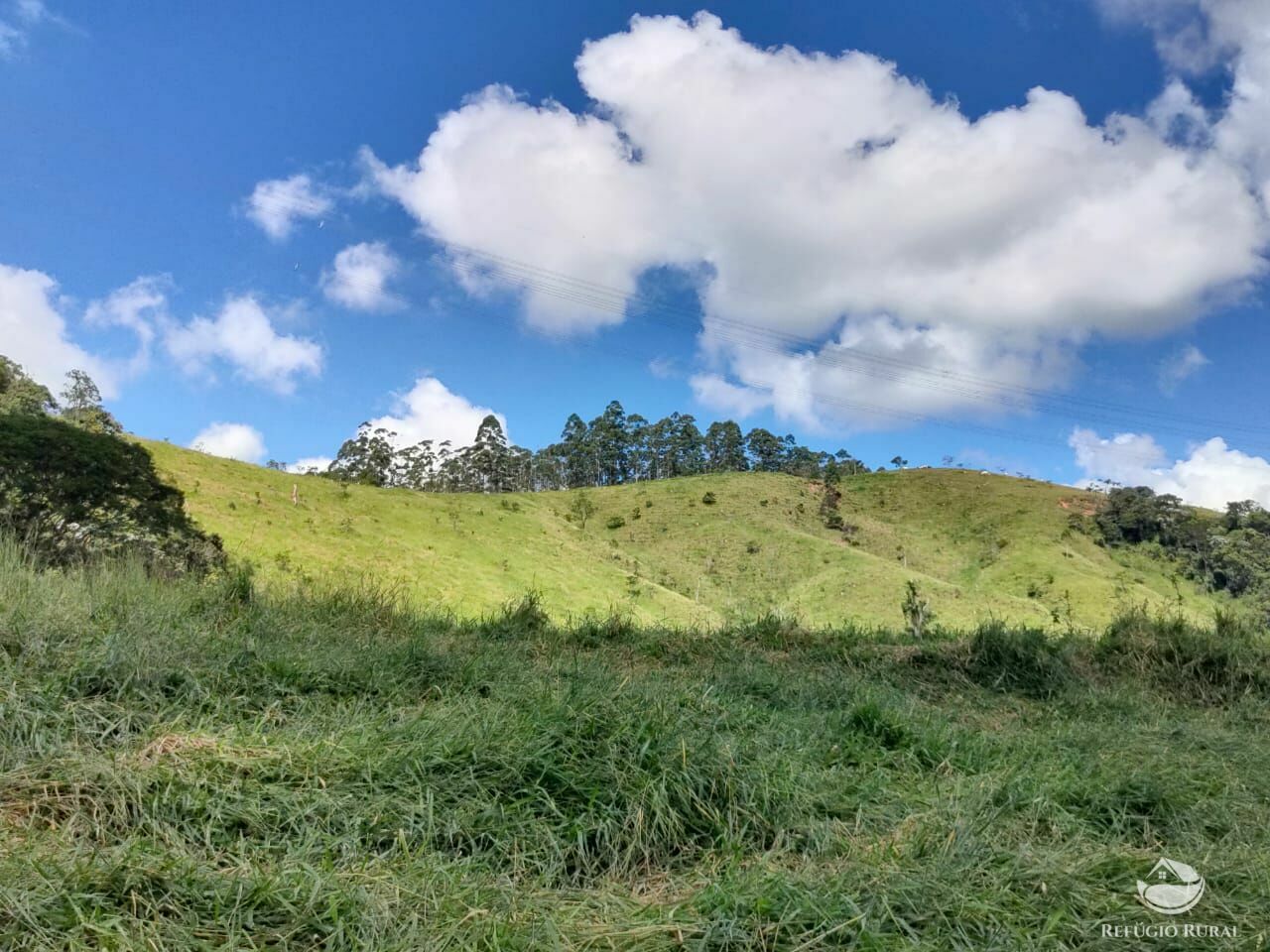 Fazenda à venda com 1 quarto, 726000m² - Foto 26