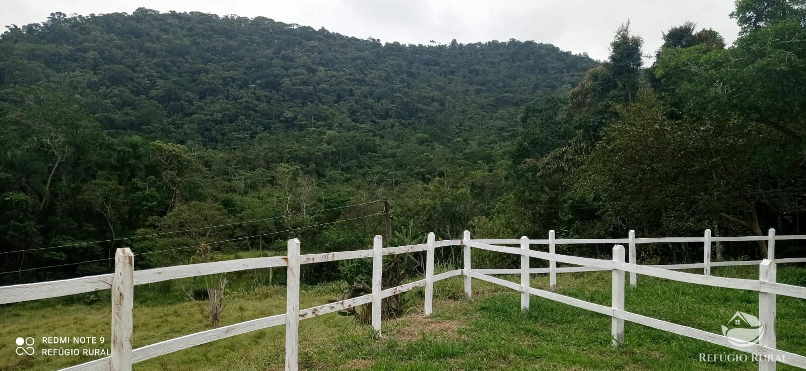 Fazenda à venda com 1 quarto, 726000m² - Foto 47