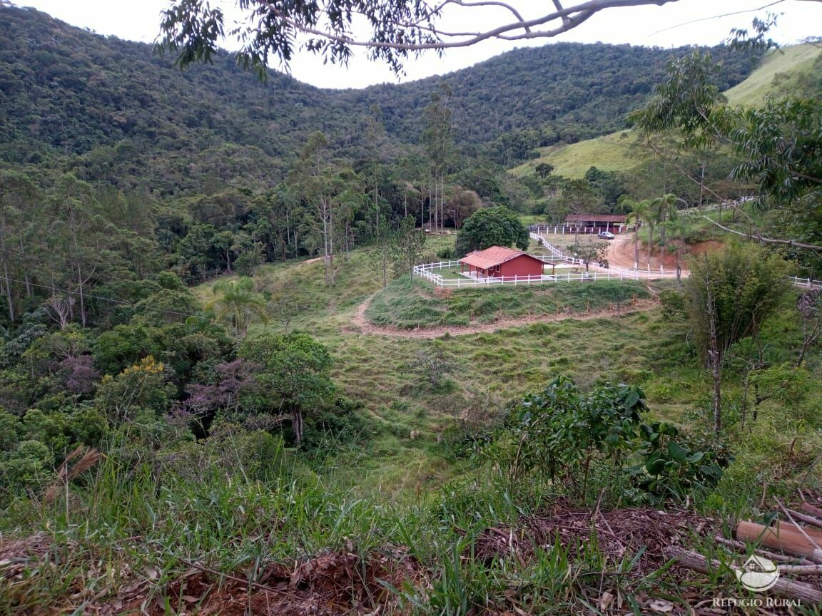 Fazenda à venda com 1 quarto, 726000m² - Foto 10