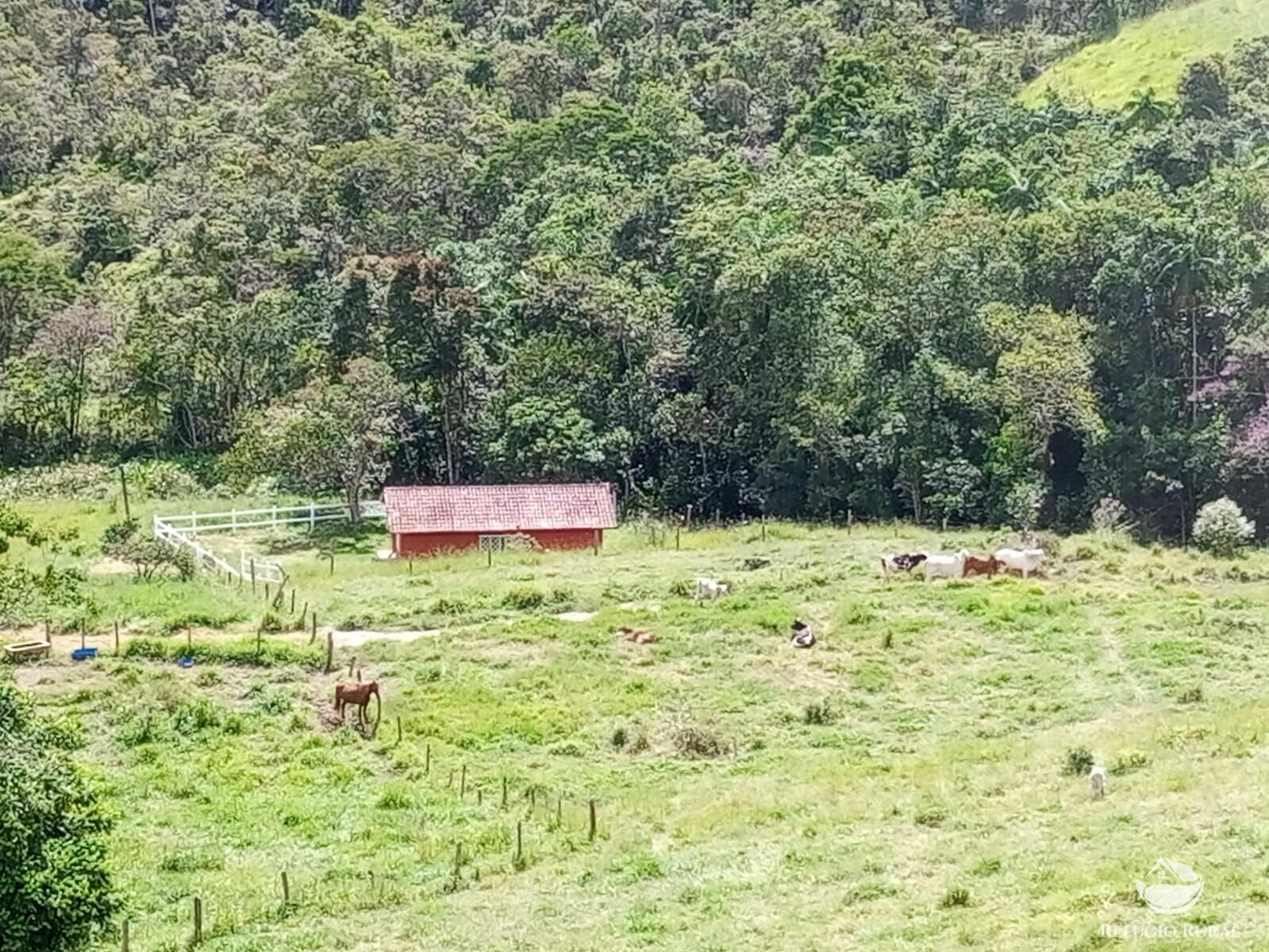 Fazenda à venda com 1 quarto, 726000m² - Foto 12