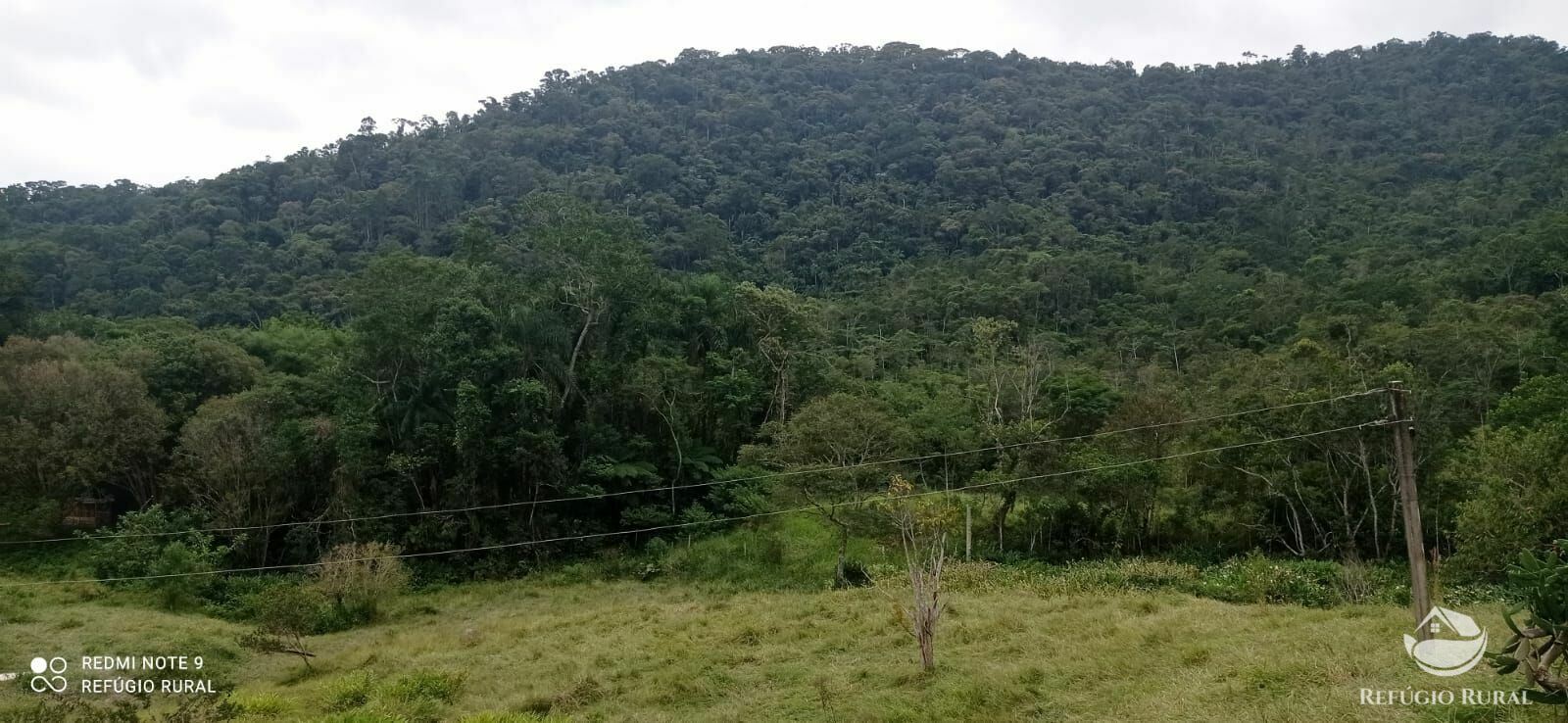 Fazenda à venda com 1 quarto, 726000m² - Foto 43