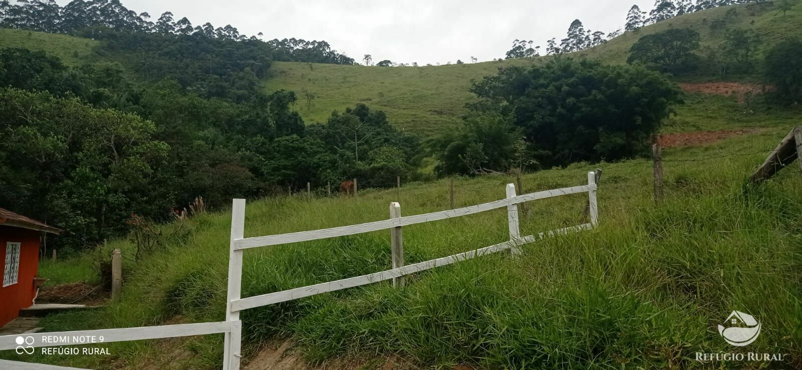 Fazenda à venda com 1 quarto, 726000m² - Foto 45