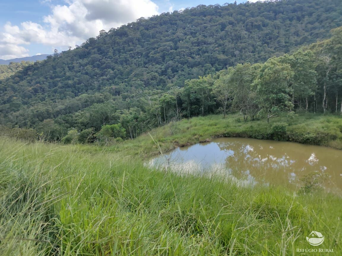 Fazenda à venda com 1 quarto, 726000m² - Foto 18