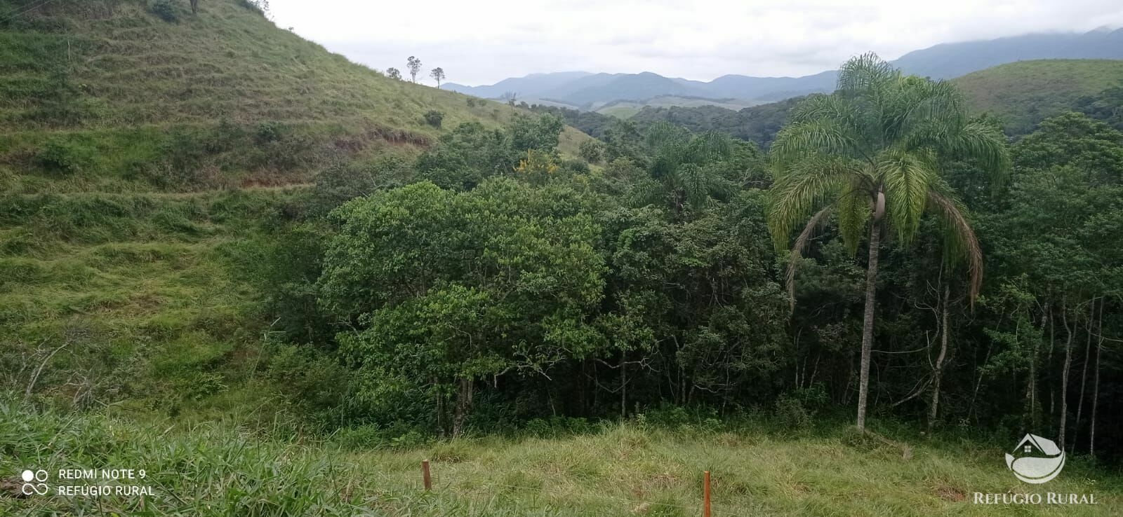 Fazenda à venda com 1 quarto, 726000m² - Foto 44