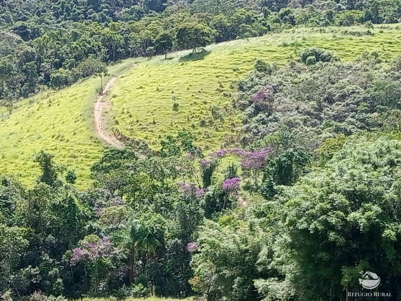 Fazenda à venda com 1 quarto, 726000m² - Foto 16