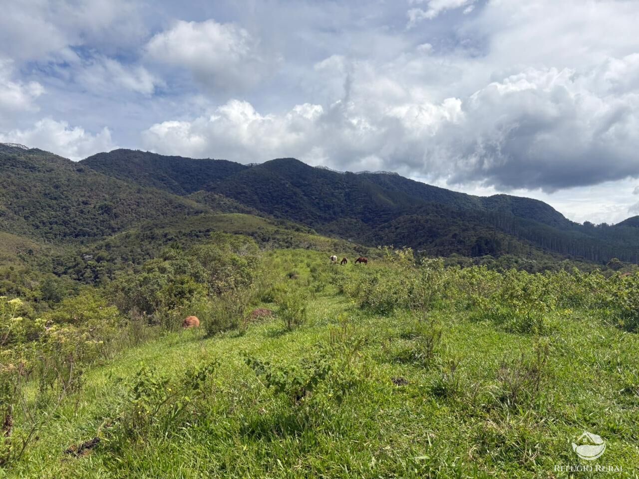 Terreno, 29 hectares - Foto 16