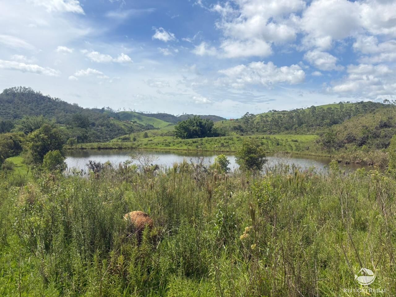 Terreno, 29 hectares - Foto 15