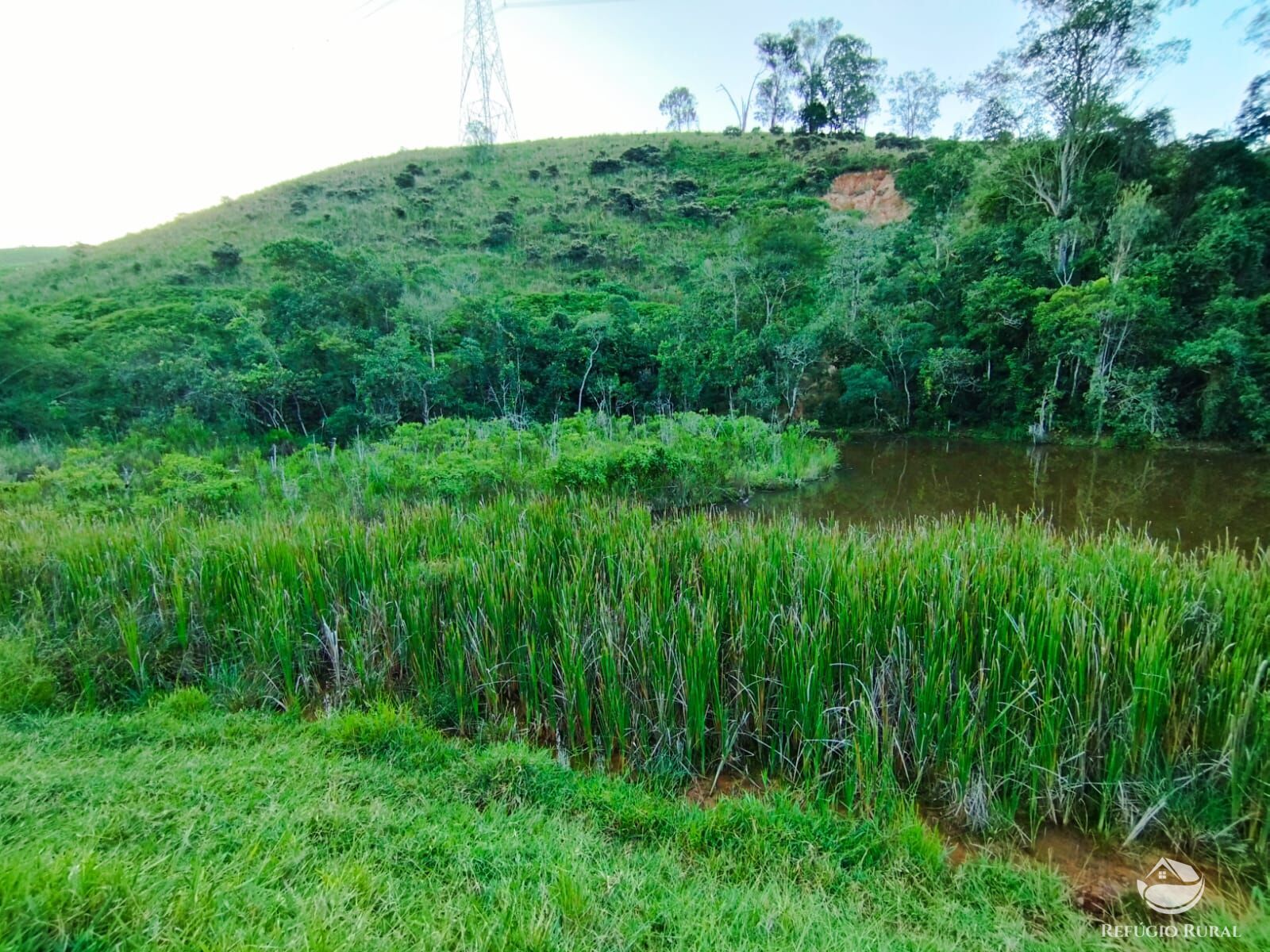 Fazenda à venda com 7 quartos, 2710400m² - Foto 39