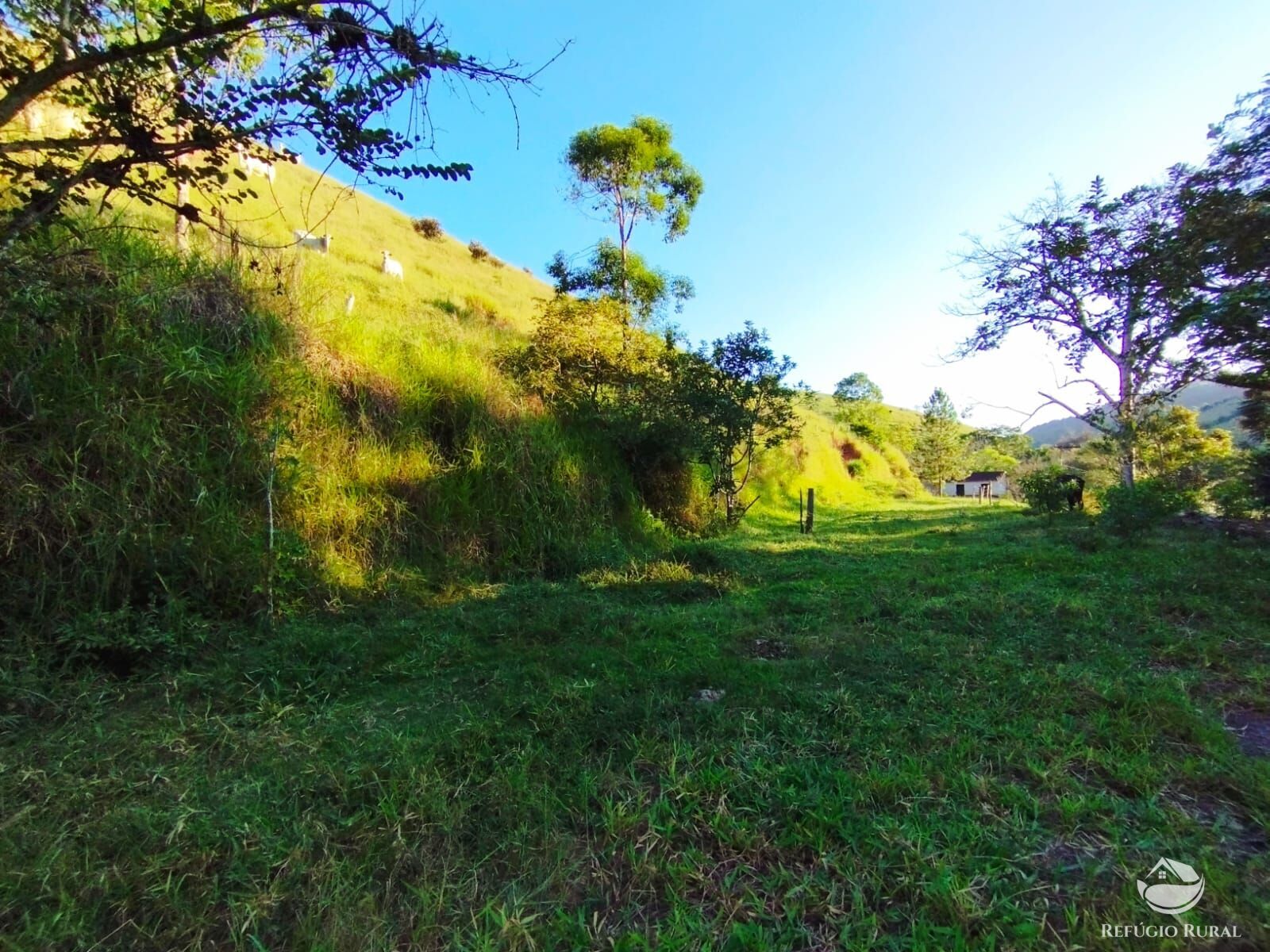 Fazenda à venda com 7 quartos, 2710400m² - Foto 28