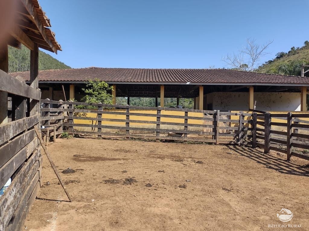 Fazenda à venda com 7 quartos, 2710400m² - Foto 21
