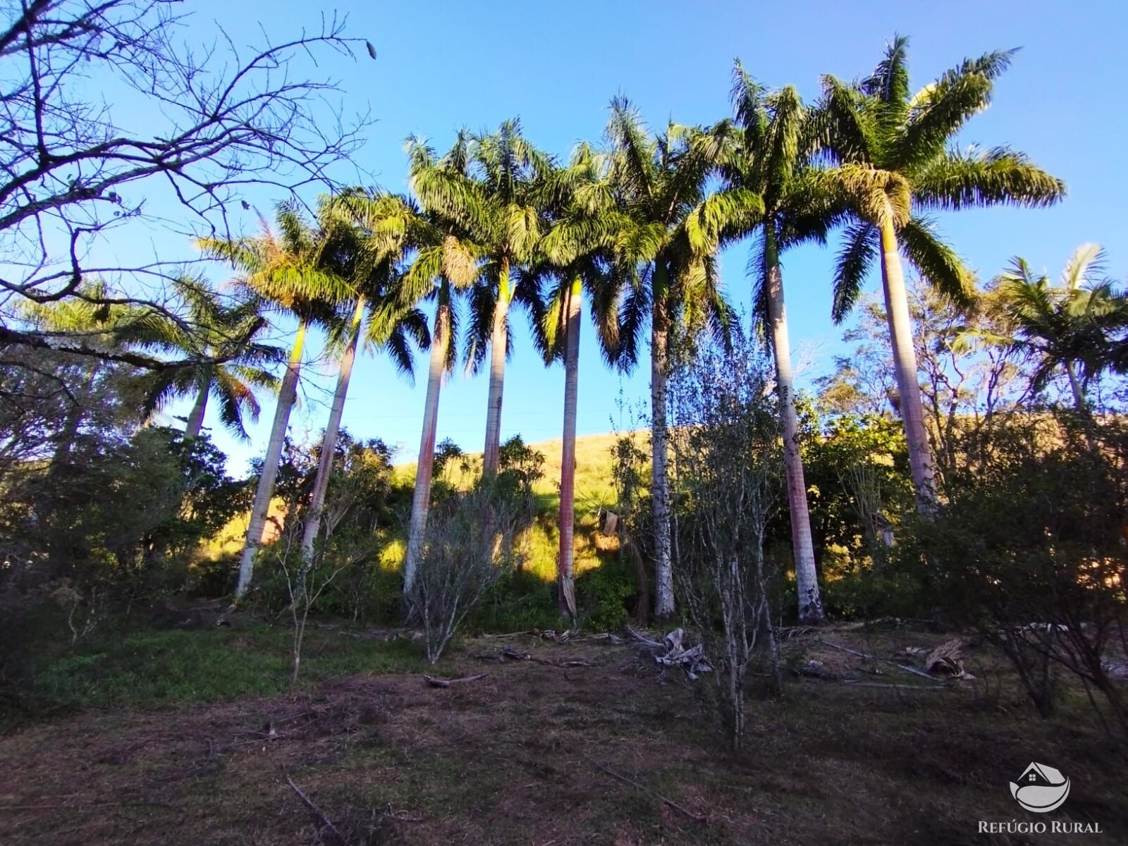 Fazenda à venda com 7 quartos, 2710400m² - Foto 3