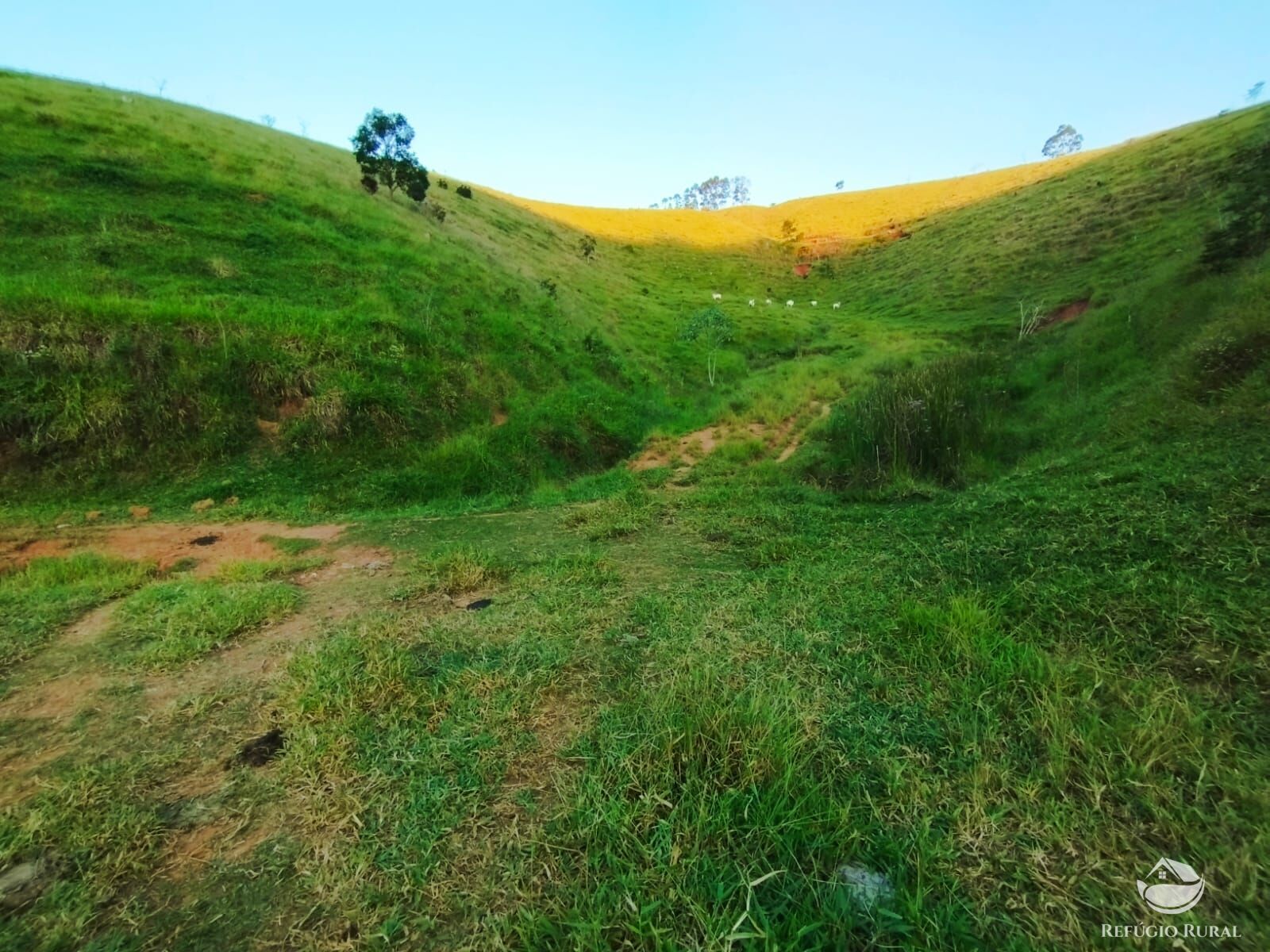 Fazenda à venda com 7 quartos, 2710400m² - Foto 35