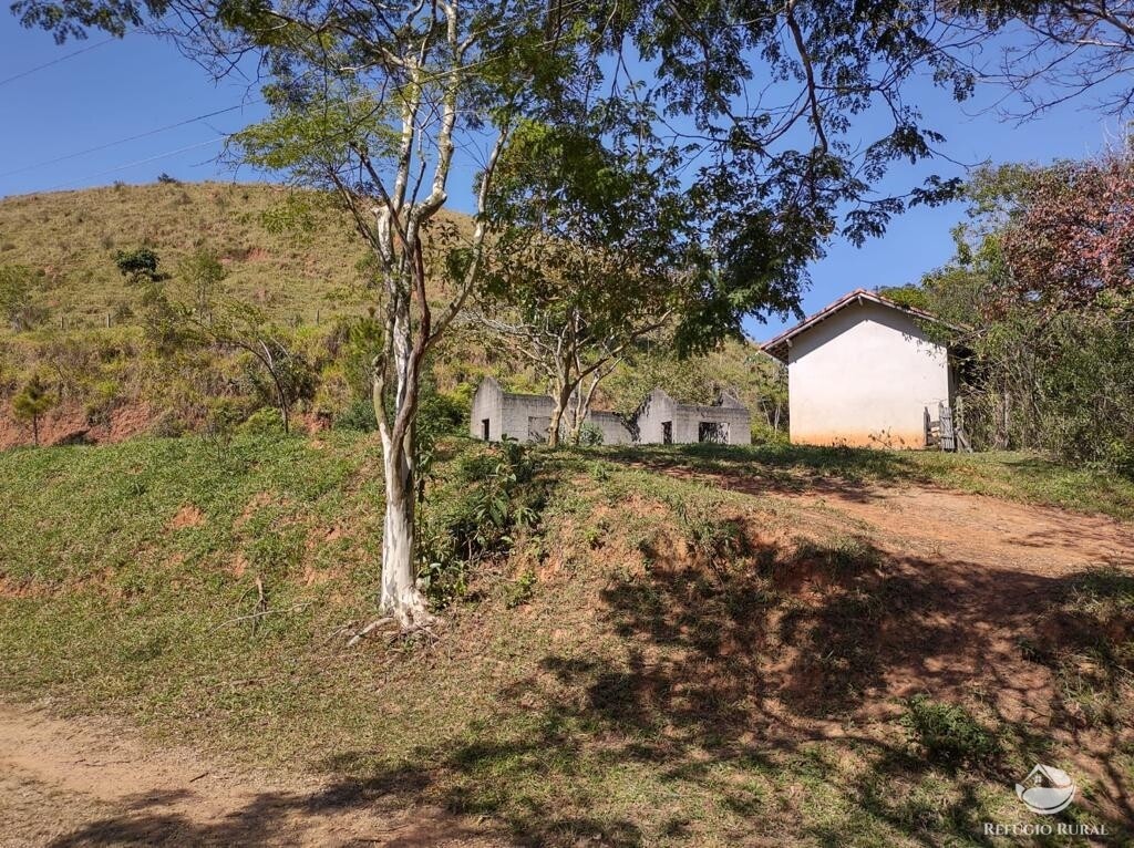 Fazenda à venda com 7 quartos, 2710400m² - Foto 11