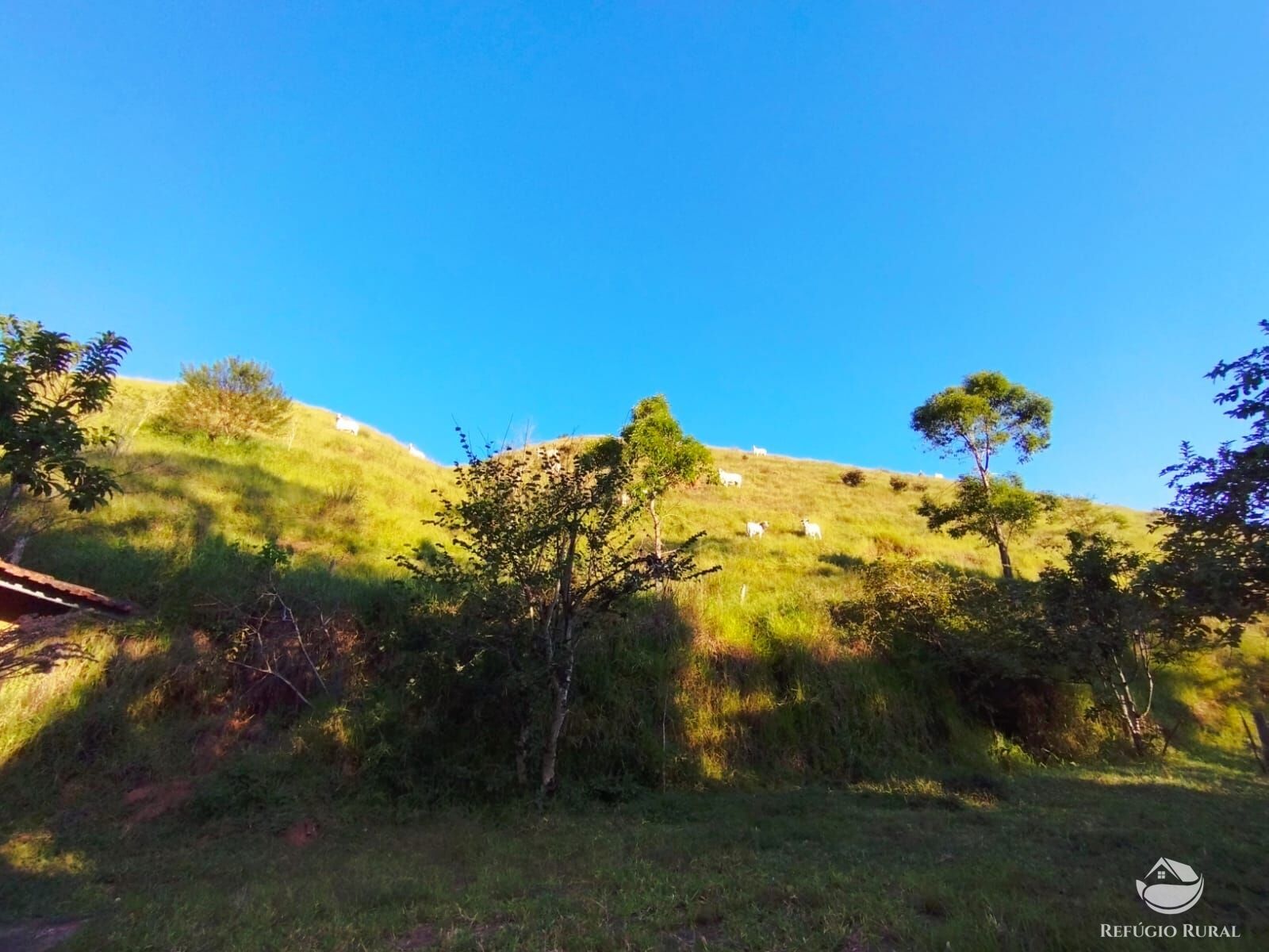 Fazenda à venda com 7 quartos, 2710400m² - Foto 46