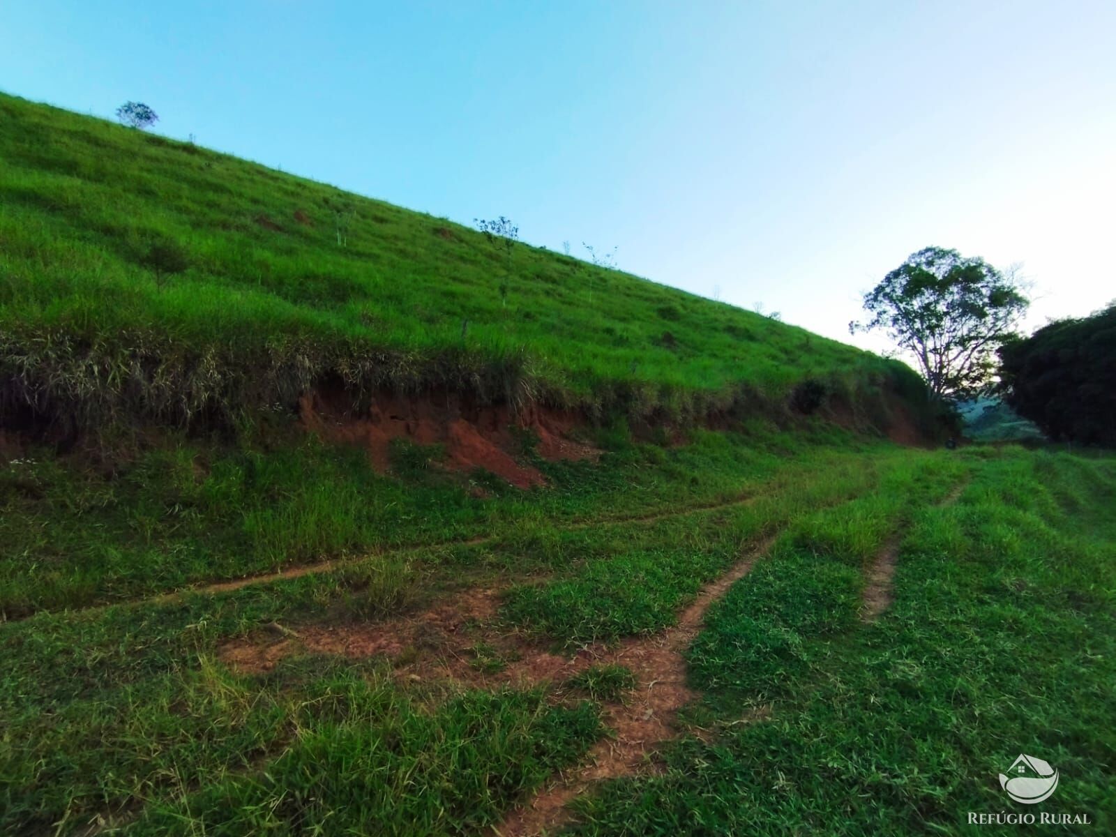 Fazenda à venda com 7 quartos, 2710400m² - Foto 38