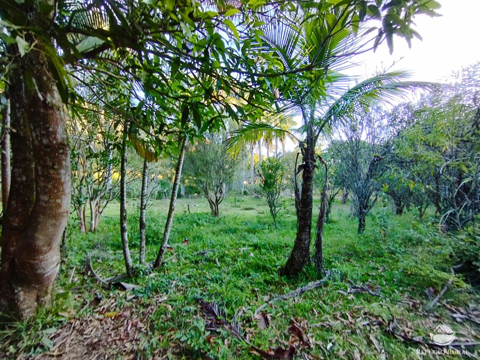 Fazenda à venda com 7 quartos, 2710400m² - Foto 47