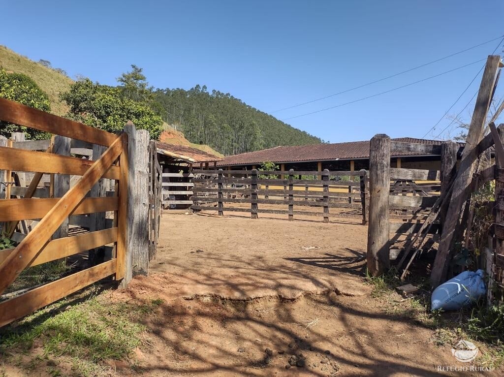 Fazenda à venda com 7 quartos, 2710400m² - Foto 20