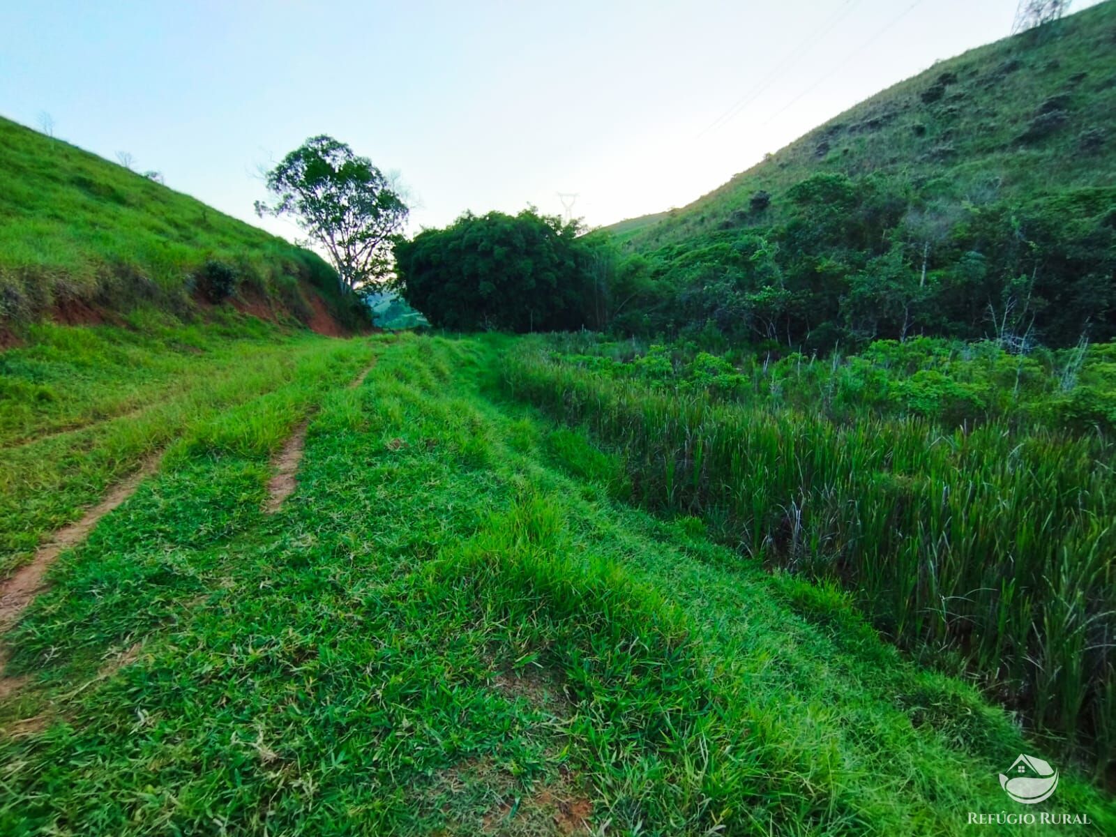 Fazenda à venda com 7 quartos, 2710400m² - Foto 42